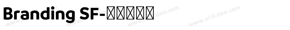 Branding SF字体转换